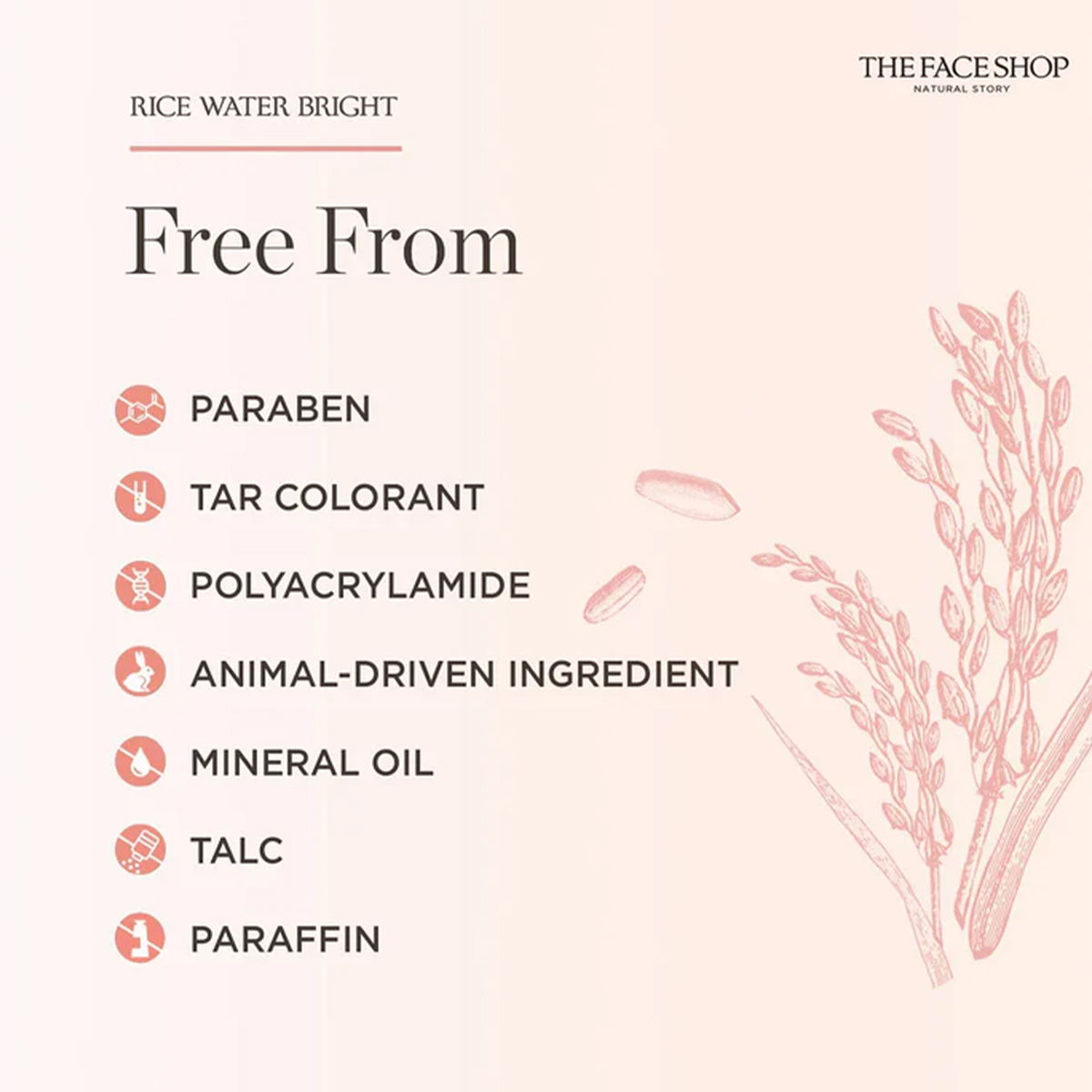THE FACE SHOP RICE WATER BRIGH - Luxury Skincare Shop review and price